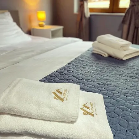 Aleksei 贝尔格莱德