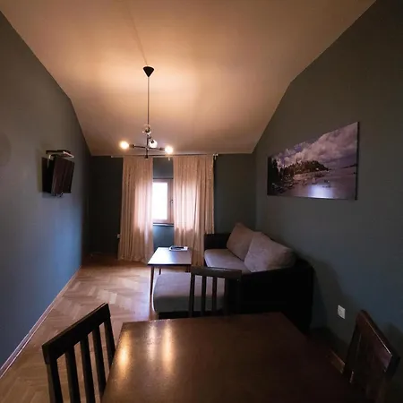 Aleksei 贝尔格莱德