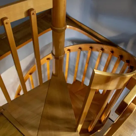 Aleksei * 贝尔格莱德